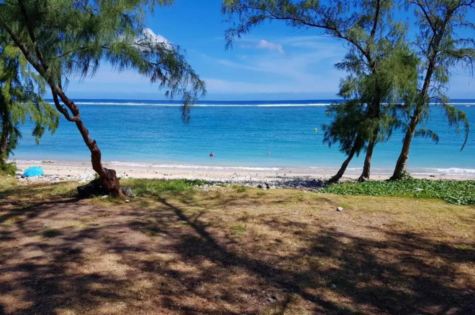 Le Tamarin Bleu - Studio A 300 M De La Plage Ла-Салін-ле-Бен Екстер'єр фото